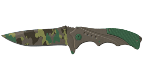 Boreal Forest image