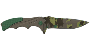 Boreal Forest image