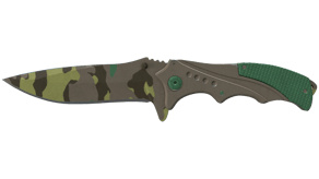 Boreal Forest image