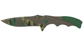 Boreal Forest image