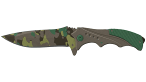 Boreal Forest image