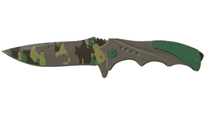 Boreal Forest image