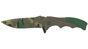 Boreal Forest image
