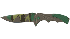 Boreal Forest image