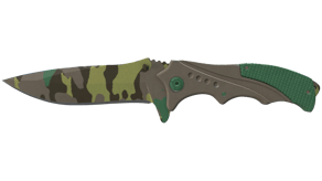 Boreal Forest image