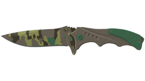 Boreal Forest image