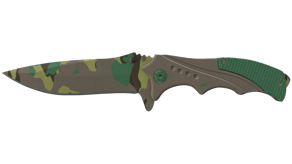 Boreal Forest image