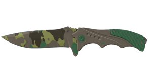 Boreal Forest image