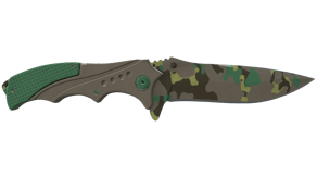 Boreal Forest image