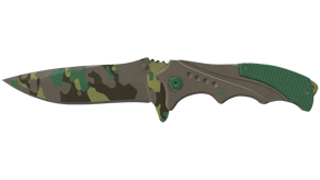 Boreal Forest image