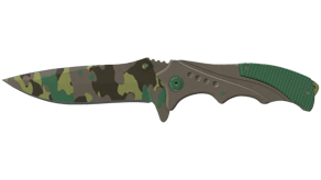 Boreal Forest image
