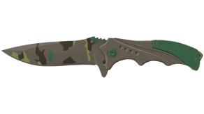 Boreal Forest image