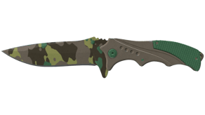 Boreal Forest image