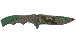 Boreal Forest image
