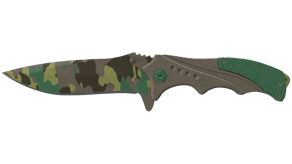 Boreal Forest image