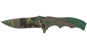Boreal Forest image