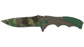 Boreal Forest image