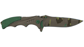 Boreal Forest image