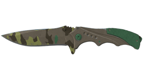 Boreal Forest image