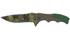 Boreal Forest image