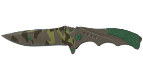 Boreal Forest image
