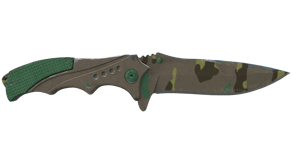 Boreal Forest image