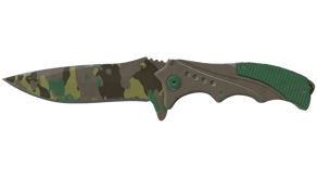 Boreal Forest image