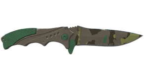 Boreal Forest image