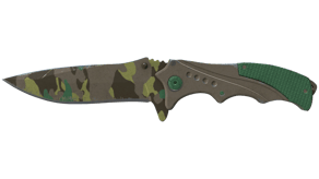 Boreal Forest image