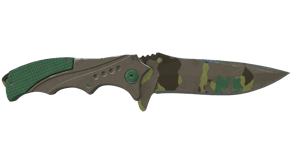Boreal Forest image