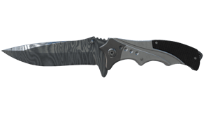 Damascus Steel image