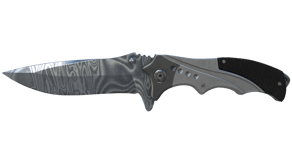 Damascus Steel image