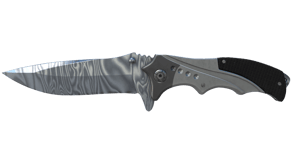 Damascus Steel image