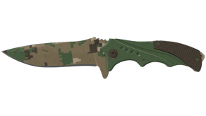 Forest DDPAT image