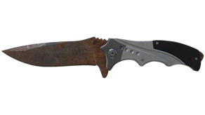 Rust Coat image