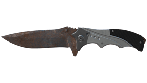 Rust Coat image
