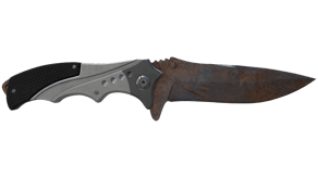 Rust Coat image