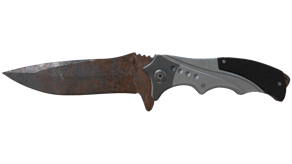 Rust Coat image