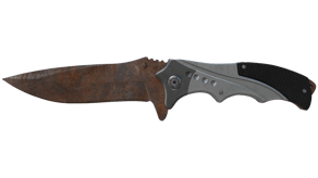 Rust Coat image