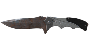 Rust Coat image