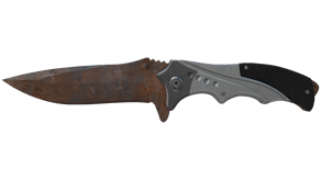 Rust Coat image