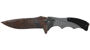 Rust Coat image