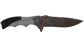 Rust Coat image