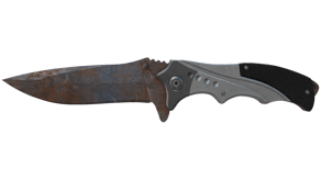 Rust Coat image