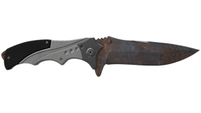 Rust Coat image