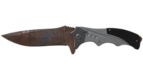 Rust Coat image