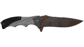 Rust Coat image