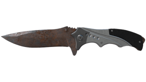 Rust Coat image