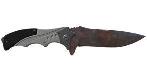 Rust Coat image