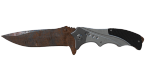 Rust Coat image